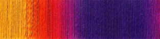Fuchsienbeet 1536